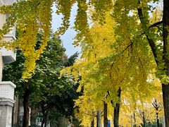 -四川大学(望江校区)
