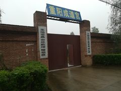 -活死人墓
