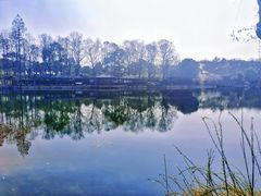 -东湖听涛景区
