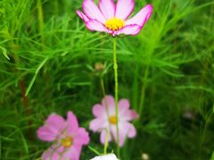 -野鸭湖国家湿地公园