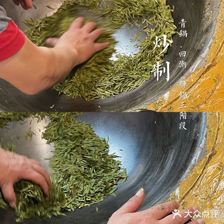 杭州茶园 | 西湖明前龙井