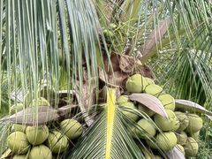 -三亚南山文化旅游区