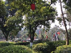 -张坝桂圆林公园