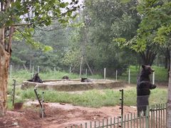 -秦皇岛野生动物园