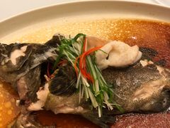-沈阳瑞士酒店·御龙轩中餐厅