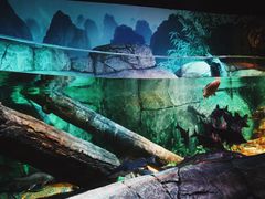 -沈阳海洋探索中心