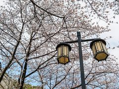 -苏州上方山国家森林公园