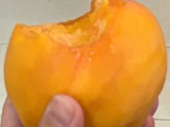 -都江堰石锅鱼