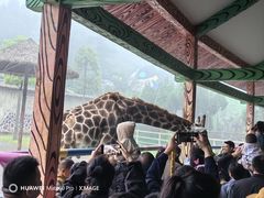 -贵州森林野生动物园
