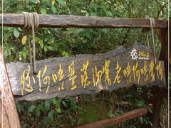 -西双版纳基诺山寨