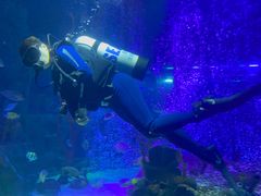 -沈阳海洋探索中心