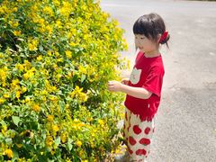 -嘉北郊野公园
