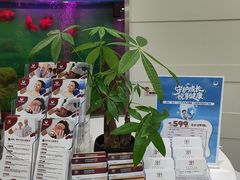-雅悦齿科(顾村公园店)
