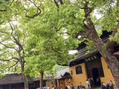 -西园寺素食(西园弄戒幢律寺店)