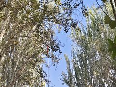 -艾提尕尔清真寺