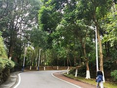 -火炉山森林公园