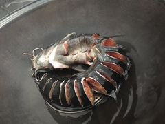 铁锅炖活鱼-铁锅炖活鱼