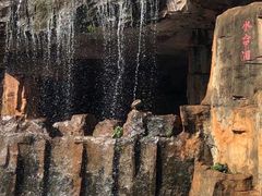 -海南热带野生动植物园