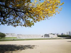 -大明宫国家遗址公园·御道广场