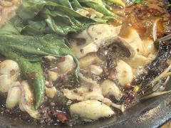 -都江堰石锅鱼