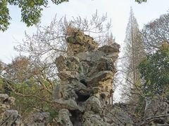 -何园