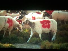 -幸福蓝海和乐影院(吴江吾悦广场店)