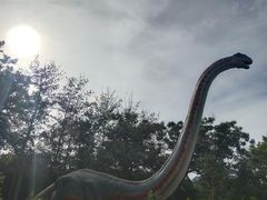 -青龙湖公园