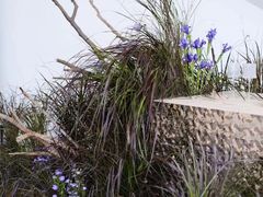 -海南清水湾莱佛士酒店