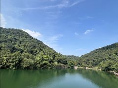 -桃花岭景区