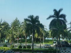 -同禧荟·港味海鲜火锅·粤菜(三亚湾店)