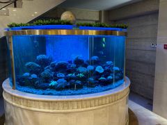 -碧中海汤泉汗蒸酒店