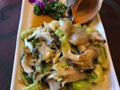 温拌海螺-福来齐·鲁菜海鲜·渔家菜(朝阳街分店)