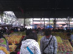 -鸿港海鲜批发市场