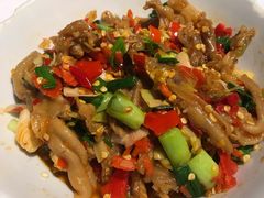 鸭掌筋-壹盏灯(惠农店)