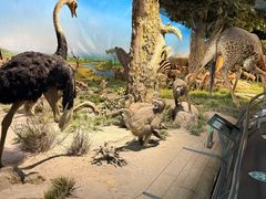 -国家自然博物馆