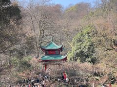 -岳麓山风景名胜区
