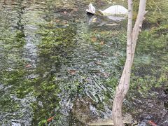 -水磨沟公园