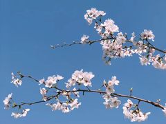 -安飞驰驾校·学车连锁(金高店)