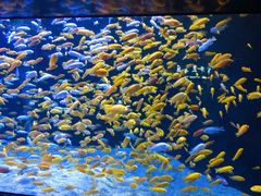 -成都浩海立方海洋公园