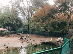 -红梅公园