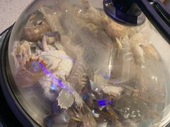 蒸汽海鲜-乔哥铭洋海鲜自助(皇城恒隆广场店)