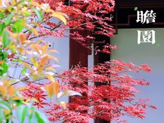 -太平天国历史博物馆(瞻园)