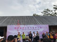 -大湾区中央湿地公园