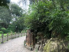 -桂湖森林公园