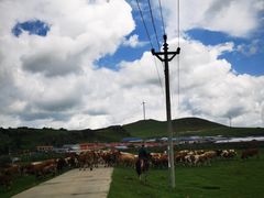 -塞罕坝国家级自然保护区