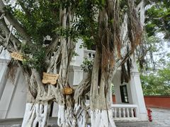 -白帝城·瞿塘峡景区