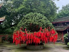 -峨眉山报国寺