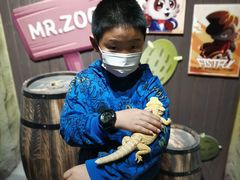 -MR.ZOO小小动物元室内动物园(沈阳沈河盛京中心)