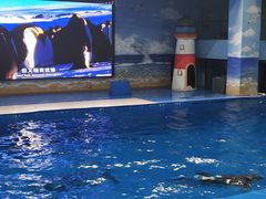 -锦艺城海洋馆