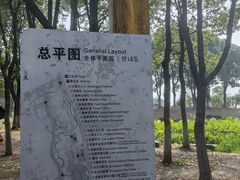 -滆湖低碳生态公园